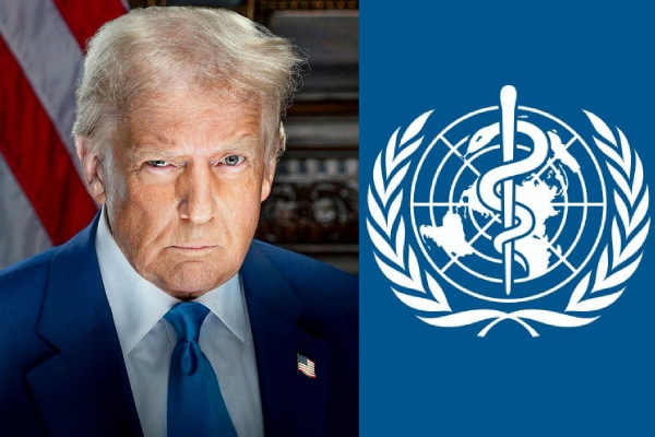 Template Article Image